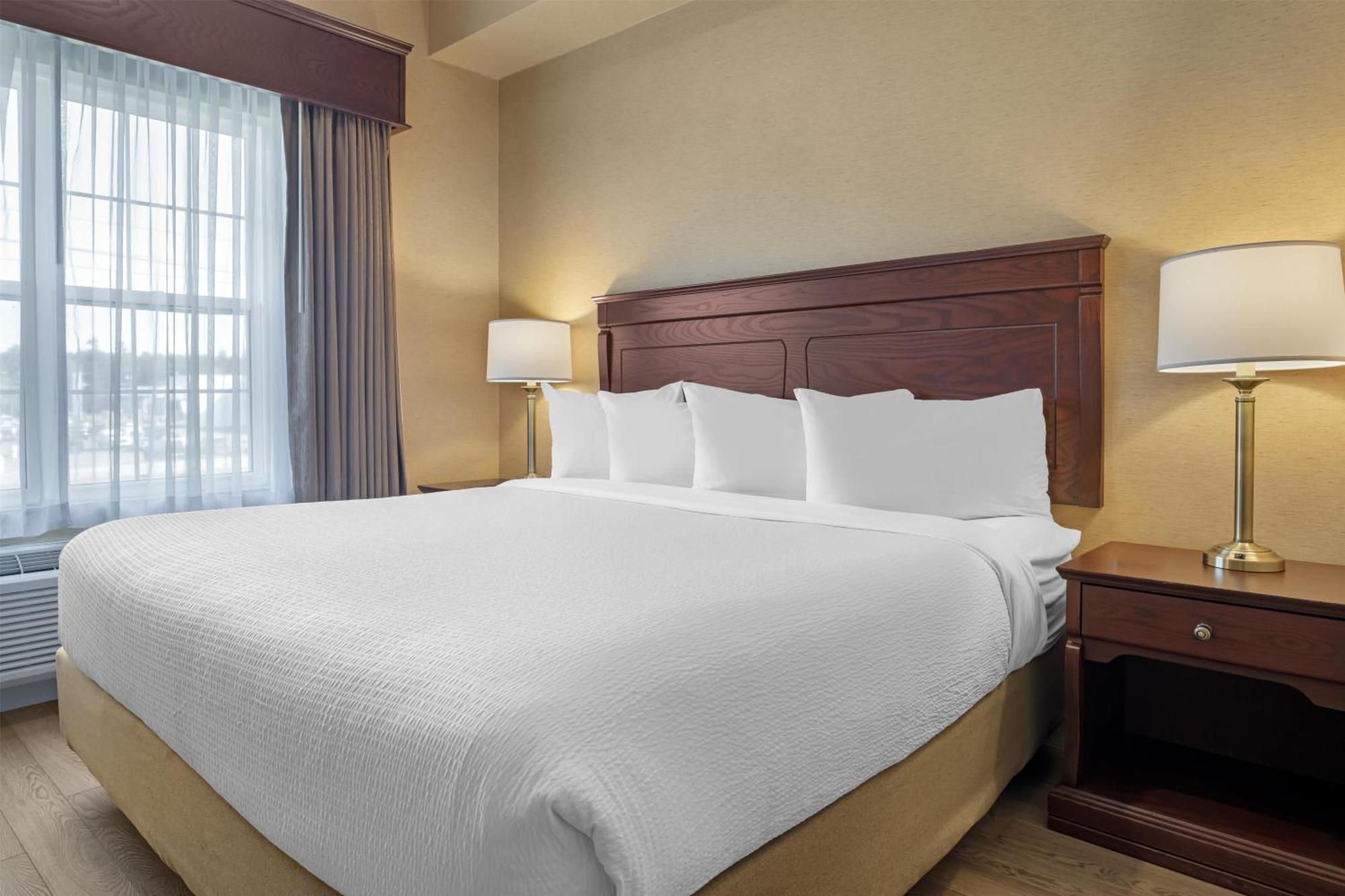 Staying Near Fredericton's Historic Core: 4 Hotels Compared