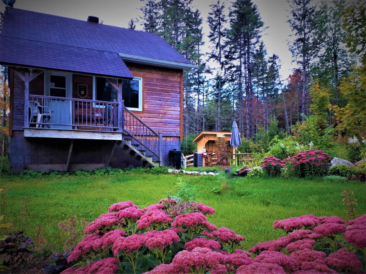 5 Smart 3-Star Hotels in Eastern Townships Worth Booking